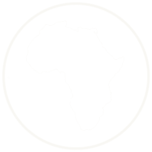 Healing Africa Foundation Logo